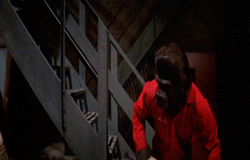 Pota 1917 Chimpanzees Gif Find On Gifer