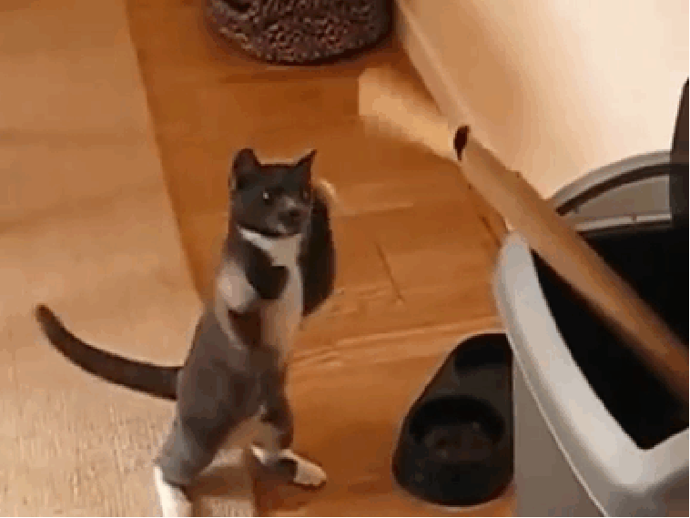 Here You Go With Proper Text Gifs Get The Best Gif On Gifer