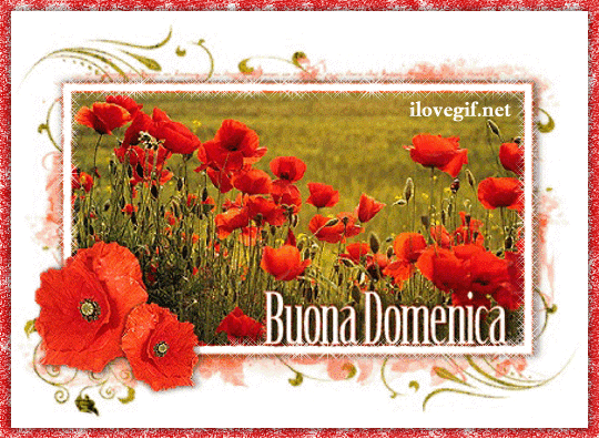 Il Buono Il Brutto Il Cattivo Gif Find On Gifer