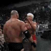 Gorilla Gorille Gif Find On Gifer