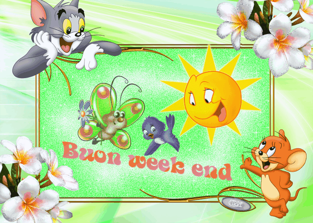 Gratuito Download immagini Https Encrypted Tbn0 Gstatic Com Images Q Tbn 3aand9gcqkxiol3mct1ifutdxlbpskpll4yo9gthcicxtctcyf Llmghcq ultima saluti