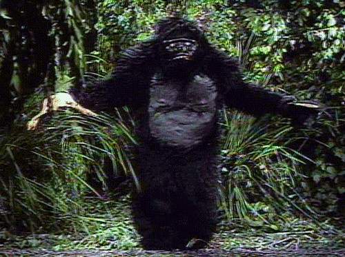 Josh Gadd 420 Gorilla Suit Gif Find On Gifer