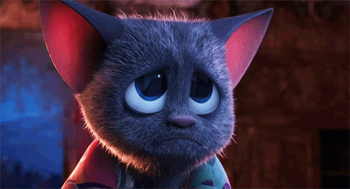 pix Cat Puppy Eyes Gif gifer com