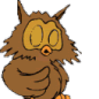 Gif Owl Eule Hibou Animated Gif On Gifer