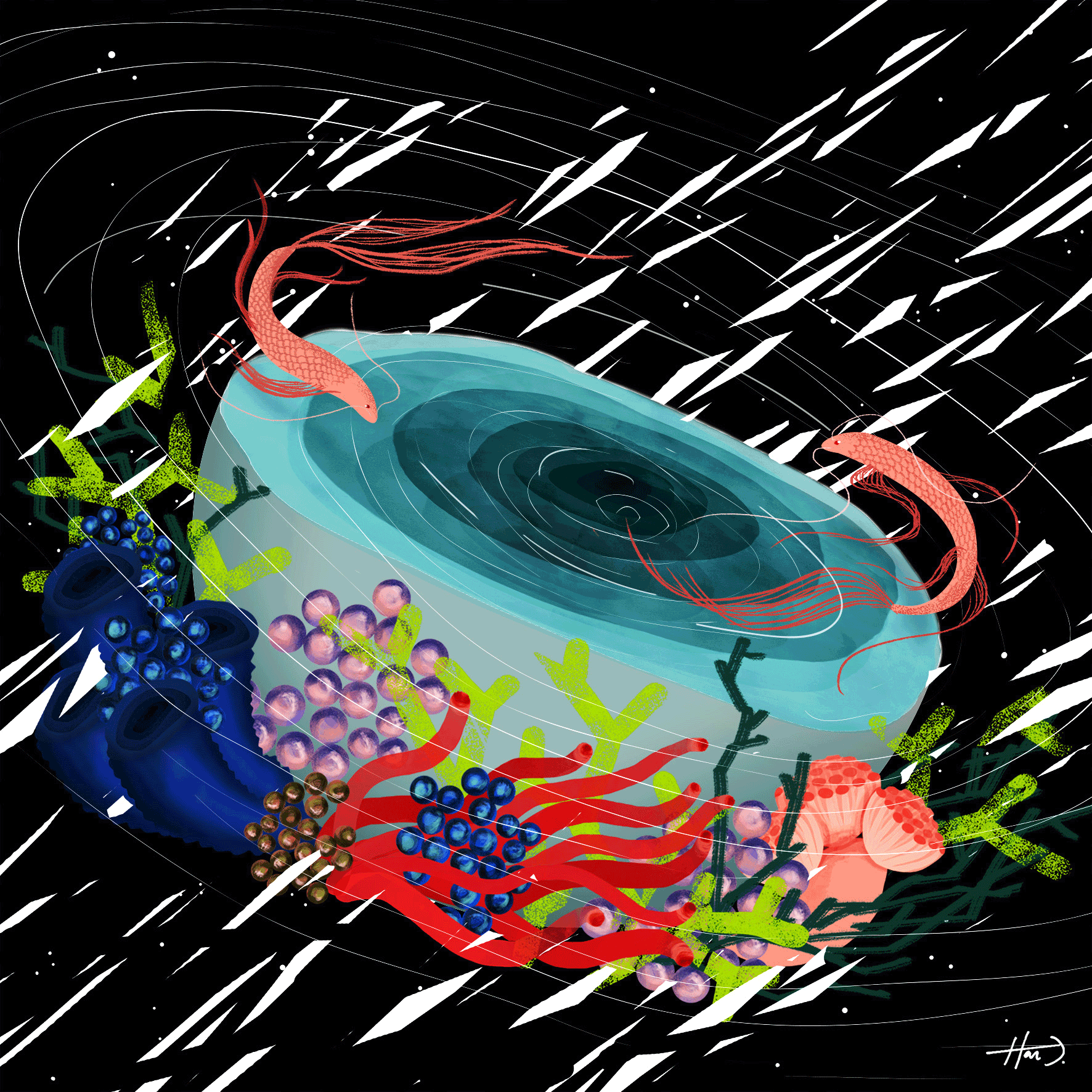 Mira Mer Meer Gif On Gifer By Coinius