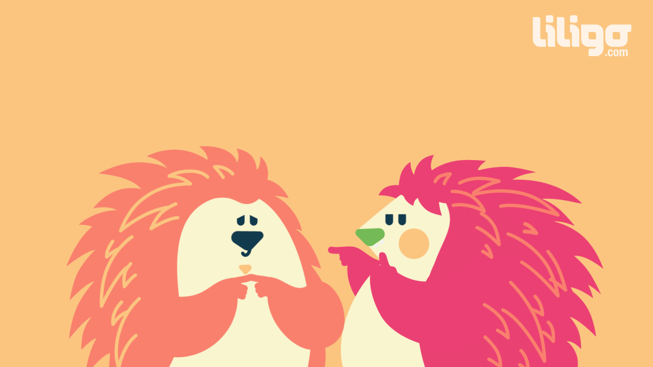 Funny Gifs Porcupine Gif Vsgif Com