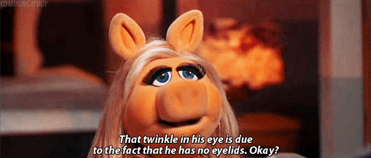 wallpapers Miss Piggy Funny Gif funny gifs miss piggy gif vsgif com