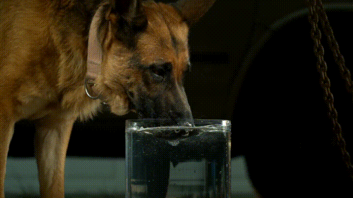 Bebe Movimento Lent Gif On Gifer By Nern