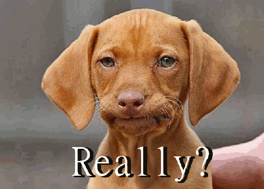 picture Disappointed Gif gifer