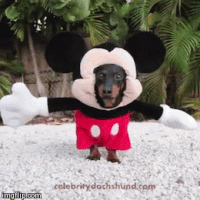 Llll➤ hunderte wunderschöne animierte mäuse gifs, bilder und animationen. Lustig Gifs Get The Best Gif On Gifer