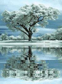 Paisaje Gif Conseguir El Mejor Gif En Gifer