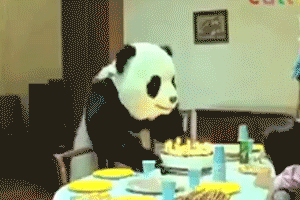 You are in control of your data. Panda Gif On Gifer By Blackmaster