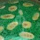 25 Resto Pandan Pisang Termurah di Cirebon