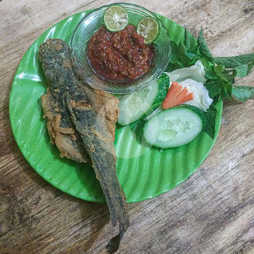 27 Tempat Makan Lele Terbang Terfavorit di Jakarta