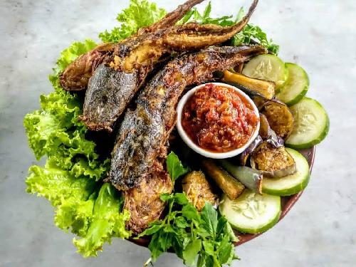 PECEL LELE BERCAHAYA 67, jln Rinjani depan seoulmate, Fadli Ilham Susanto