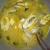 Ikan Kuah Kuning
