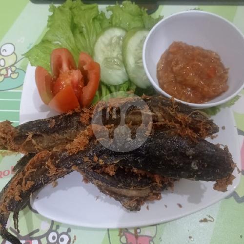 30 Rumah Makan Nasi Lele Terfavorit di Magelang