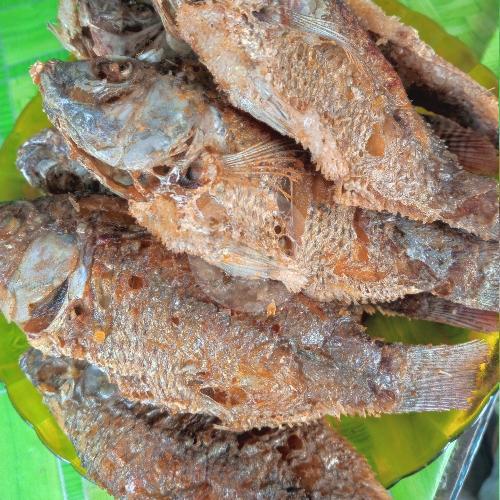 21 Rumah Makan Ikan Nila Sambal Termurah di Medan