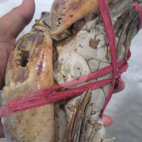 27 Restoran Kepiting Super Termurah