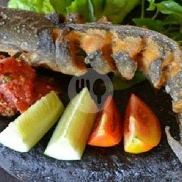 29 Resto Ikan Lele Goreng Paling Lezat di Pekanbaru
