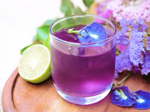 Minuman Sehat Yogurt, Hanna Paulina Rina