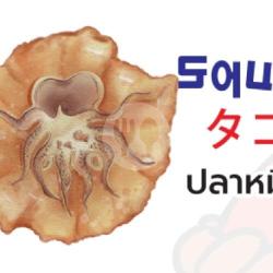 Squid/Octopus - Sugoi Senbei, Mega Mall Batam