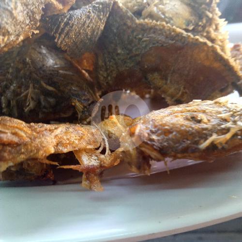 29 Resto Sambal Ikan Nila Terenak