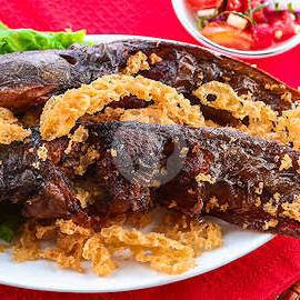 30 Rumah Makan Ikan Lele Kremes Terenak