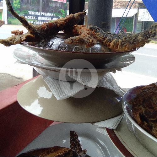24 Rumah Makan Nasi Lele Paling Lezat di Pasuruan