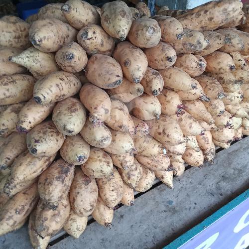 24 Rumah Makan Ubi Cilembu Mentah Termurah