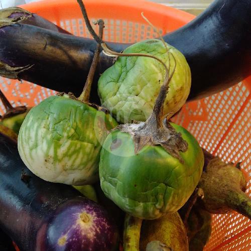 18 Resto Terong Ijo Favorit di Jakarta