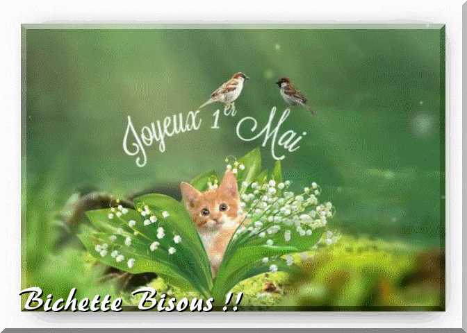 La trinité fête l'italie, le dimanche 1er mai. bon 1er mai - Photos Humour