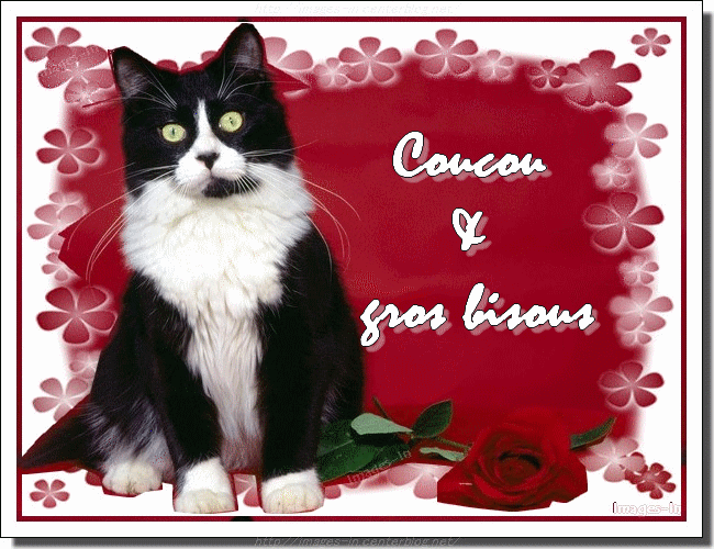 Weboct 4, 2022 · bisou appuyé sur la joue. Un bisou sur ta joue - Une fleur sur ton coeur un - Photos Humour