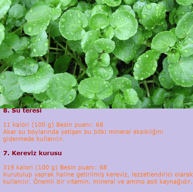 309968943 Ayetlerle Uygulama Docx By Enes Celebi Issuu