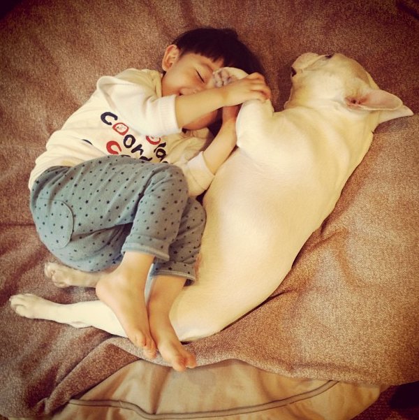 boy and dog