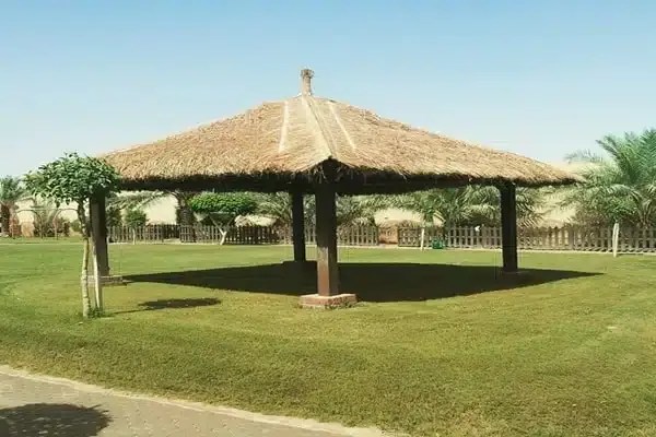 شركة مظلات خيزران