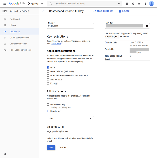 Google API Settings