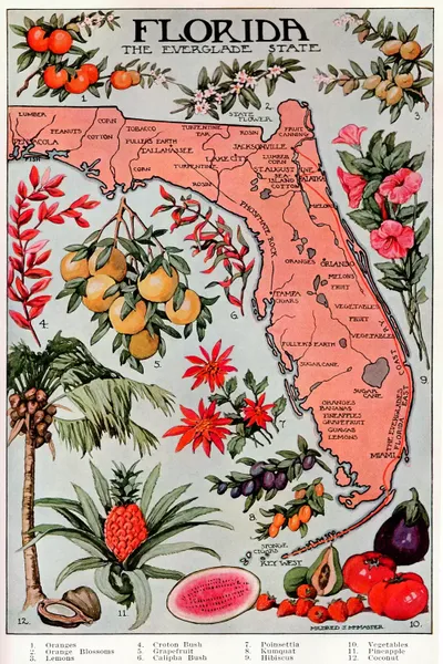 Florida Natural Resources Map
