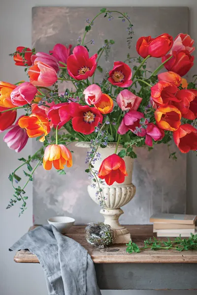 Tulips Uncorked Canvas - Geometric Illustrations - Beautiful High Resolution Collection