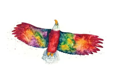 Rainbow Eagle By Sam241 On Deviantart - Best Gradient Images in Retina