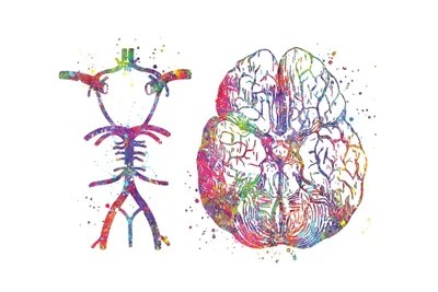 Canvas Willis - Mountain Photos - High Quality Desktop Collection