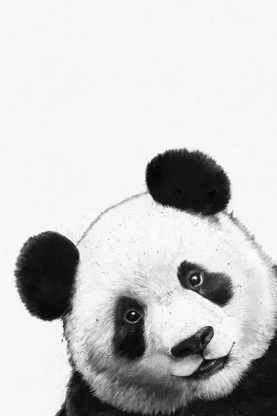 Panda Henry Canvas Print - Minimal Art Collection - Full HD Quality