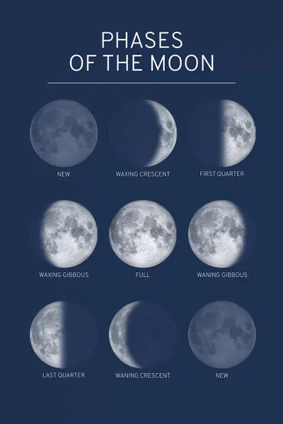 For each day, observe the moon, then draw its phase. Phases Of The Moon Chart Blue Canv Canvas Wall Art Getyournerdon