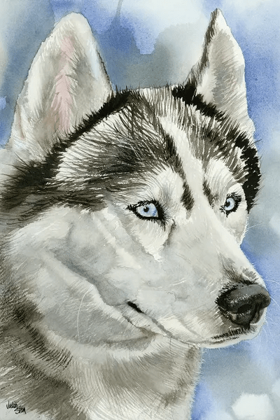 Siberian Huskies Art Prints | ICanvas