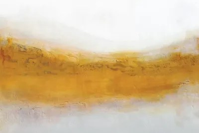 Gold Rush Canvas Art By Kr Moehr Icanvas