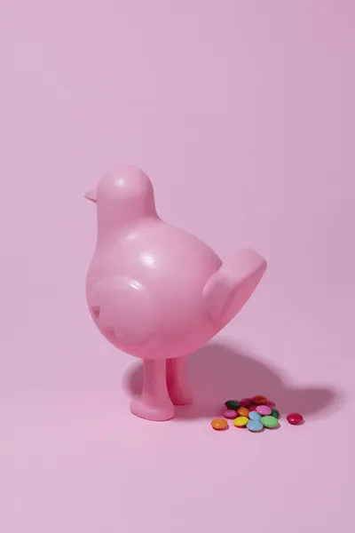 Bird delights canvas wall art by pepino de mar