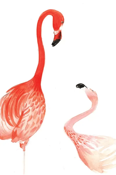 Flamingo Artvee - High Resolution Space Illustrations for Desktop