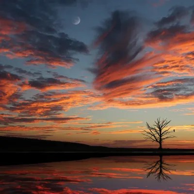 Dreamscape Path Canvas Clockcanvas - Artistic Gradient Photo - 8K