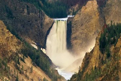 Its impressive size is slightly diminished by the . Yellowstone Falls And Grand Canyon Canvas Wall Art Tim Fitzharris