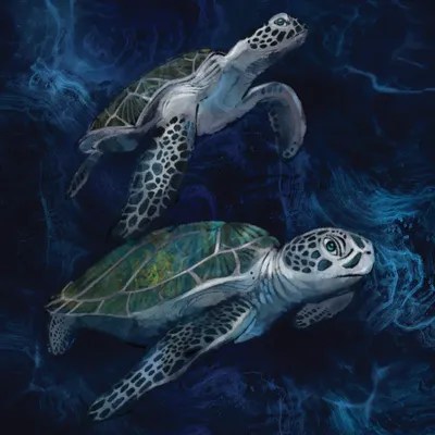 Painted Turtles Green Acre - Amazing 8K Space Images | Free Download